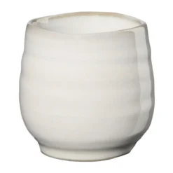 ASA Umami Hasu Shiny Becher 0,05 l