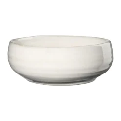 ASA Umami Hasu Shiny Ramenschale 18 cm