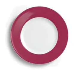 Dibbern Dessertteller 21 cm Solid Color Himbeere