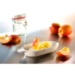 Gefu Ingwer- und Obstreibe Fruttare