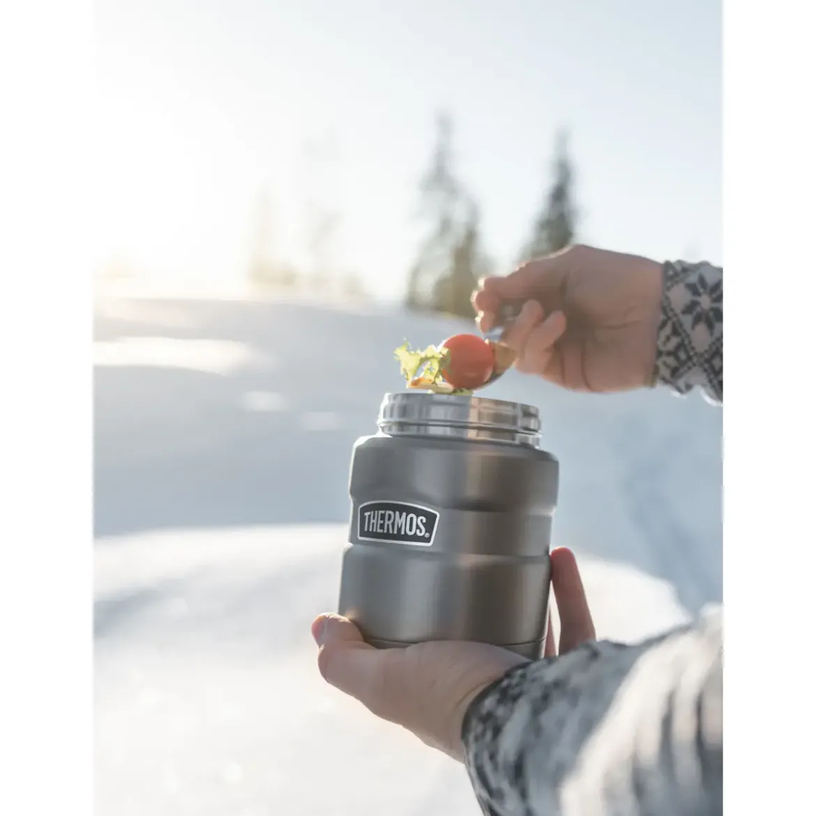 Thermos Isolier-Speisegefäß 0,47 l Stainless King Food Jar steel