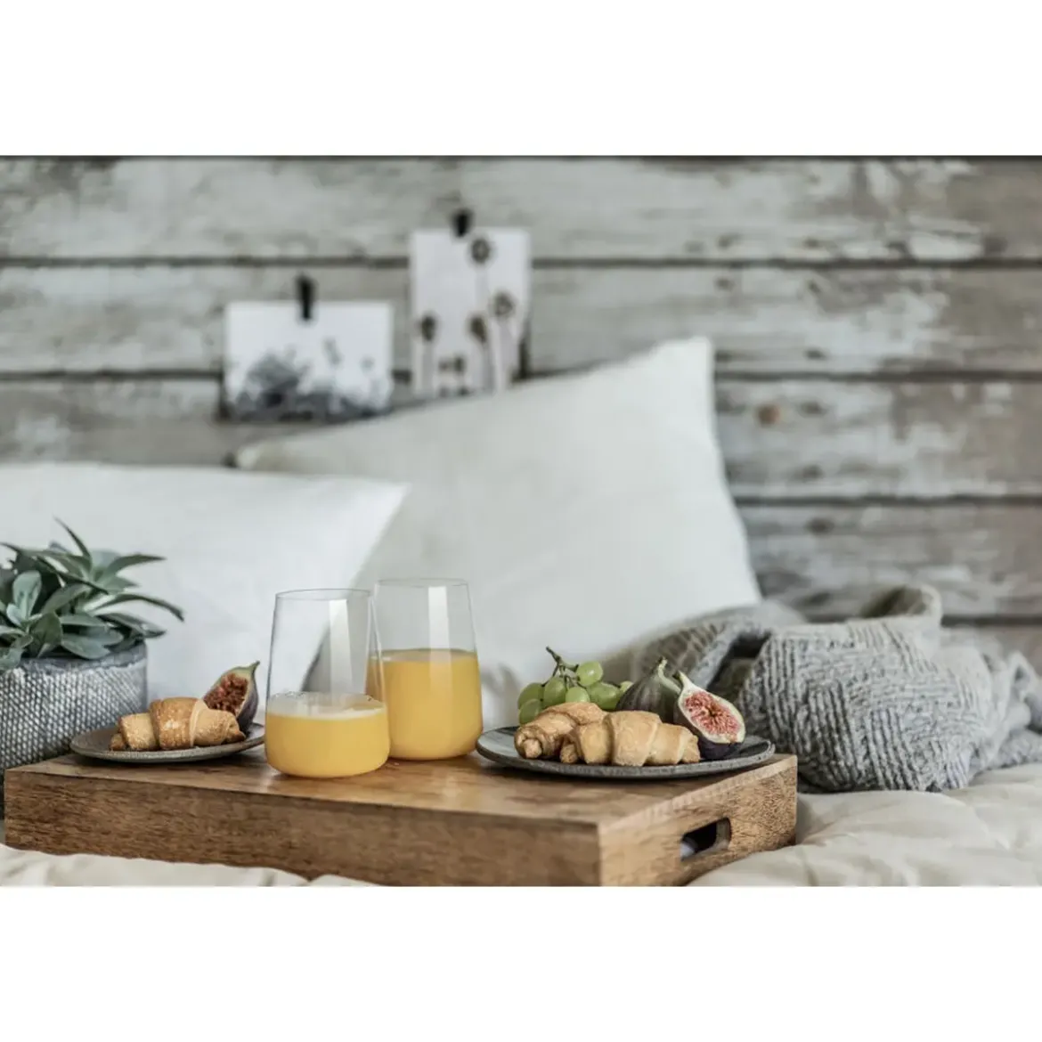 Zwiesel Glas Universalbecher 4er-Set Vivid Senses